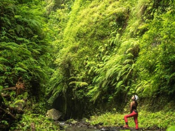 Aling Gorges Bali